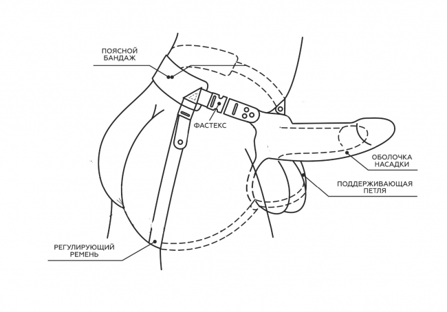 Фаллоимитатор поясной пустотелый с бандажом